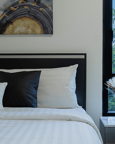 Deluxe Plus Room